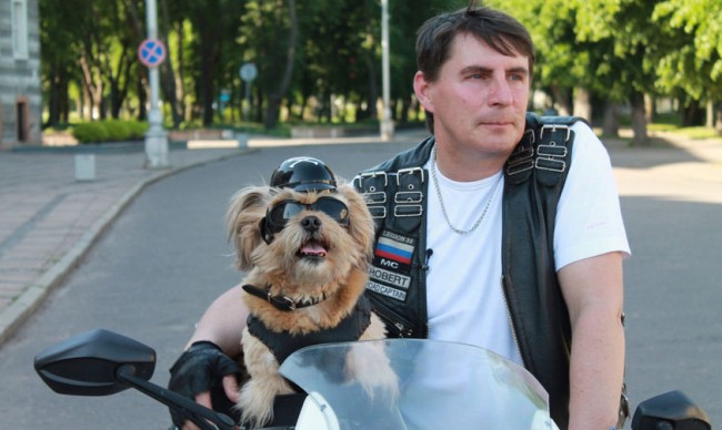 Роберт Молис и его пес Стич