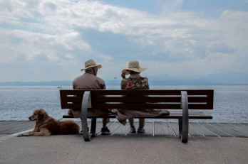 Отдых, семья, море, набережная, скамейка, собака (Фото: Pxhere.Com)